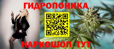 гидропоника Коммунар