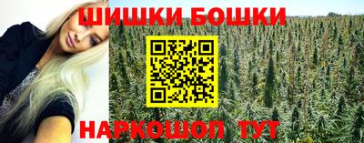 СК Кингисепп