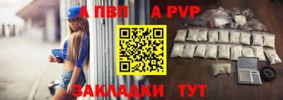 СК Кингисепп